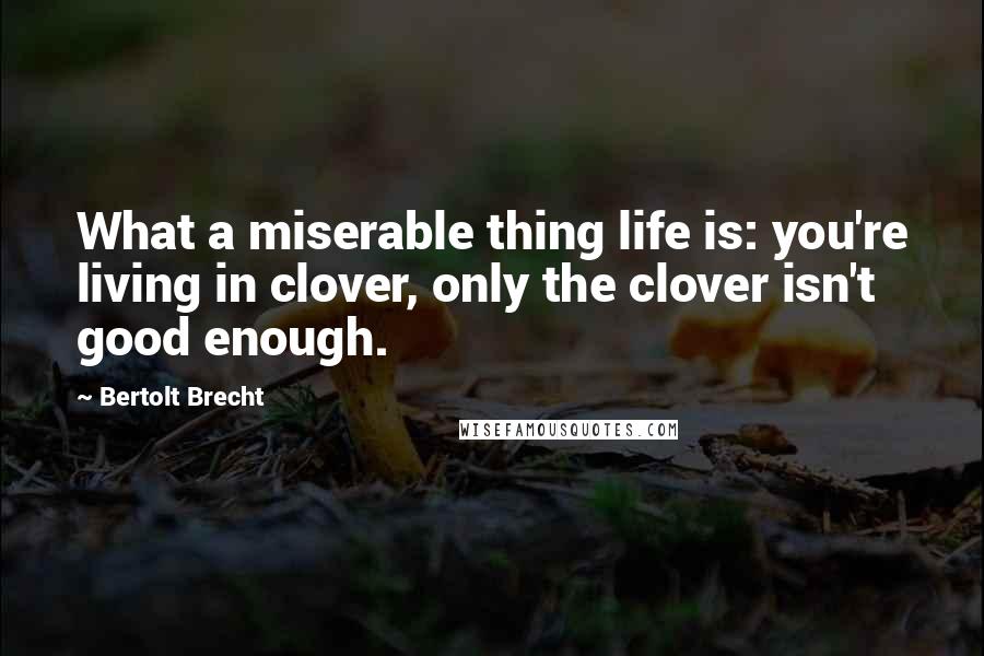 Bertolt Brecht Quotes: What a miserable thing life is: you're living in clover, only the clover isn't good enough.