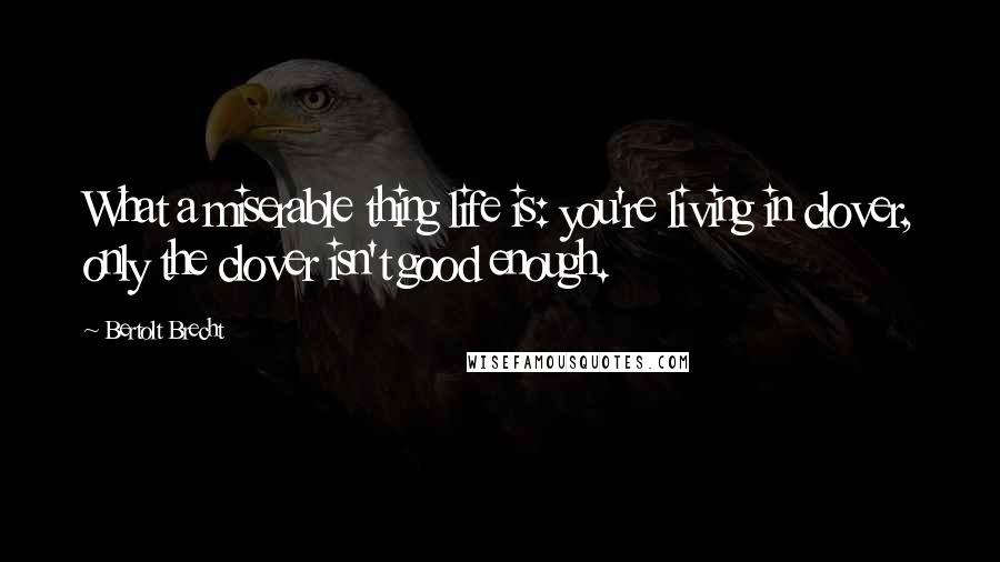 Bertolt Brecht Quotes: What a miserable thing life is: you're living in clover, only the clover isn't good enough.