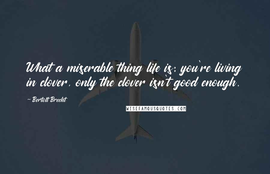 Bertolt Brecht Quotes: What a miserable thing life is: you're living in clover, only the clover isn't good enough.