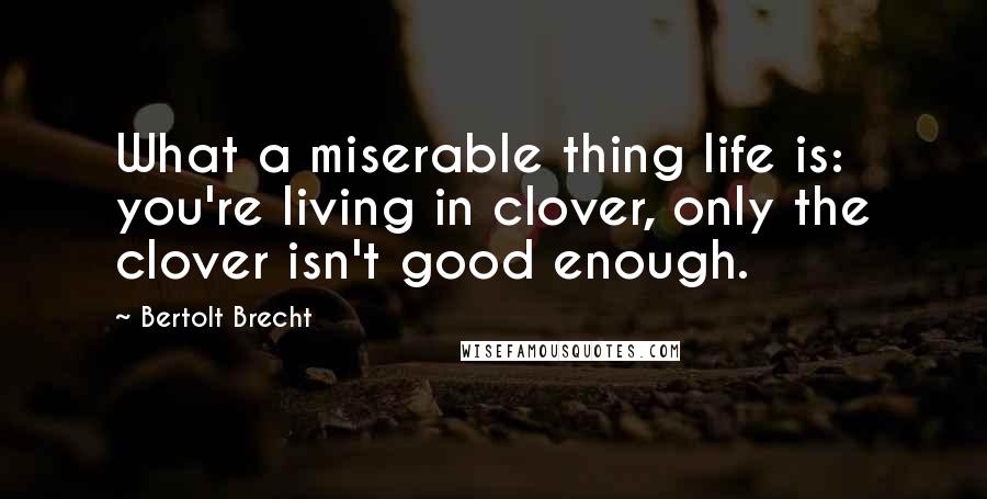 Bertolt Brecht Quotes: What a miserable thing life is: you're living in clover, only the clover isn't good enough.