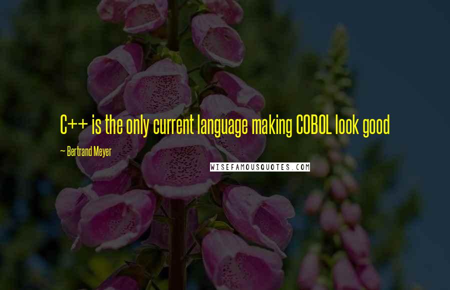 Bertrand Meyer Quotes: C++ is the only current language making COBOL look good