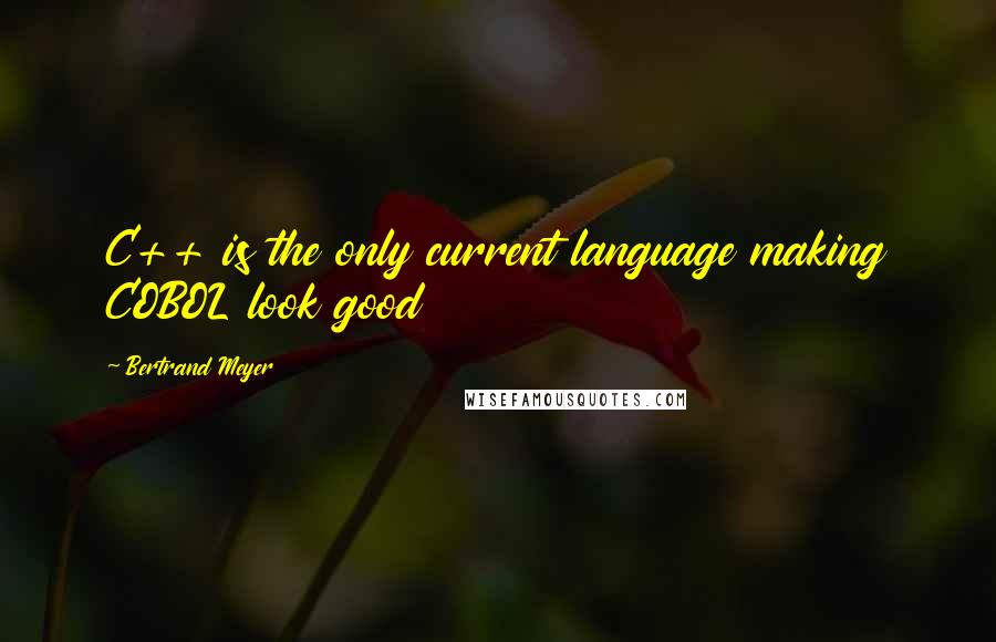 Bertrand Meyer Quotes: C++ is the only current language making COBOL look good