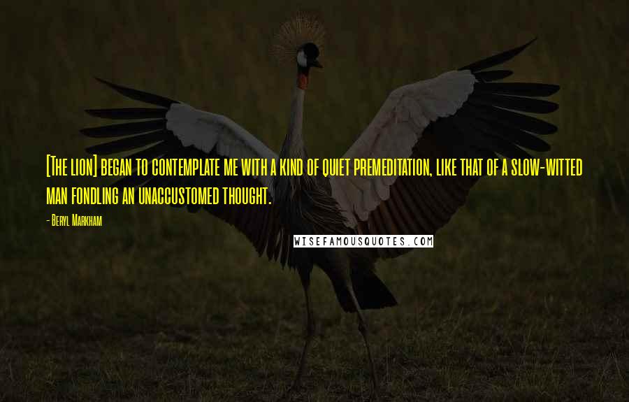 Beryl Markham Quotes: [The lion] began to contemplate me with a kind of quiet premeditation, like that of a slow-witted man fondling an unaccustomed thought.