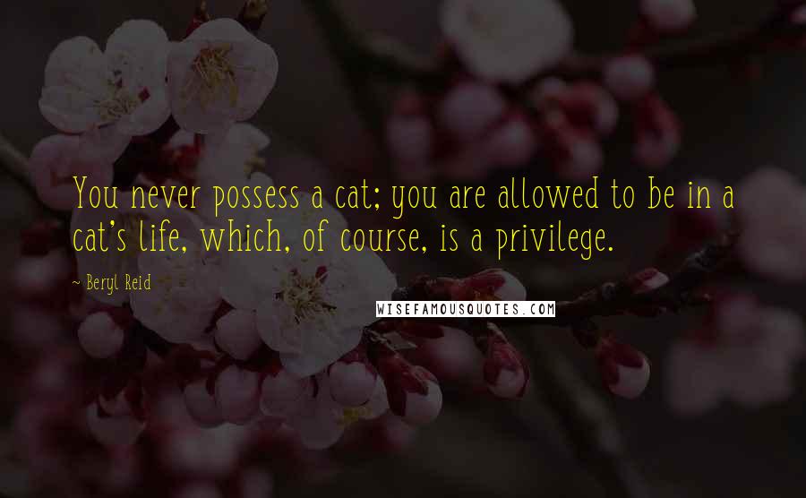 Beryl Reid Quotes: You never possess a cat; you are allowed to be in a cat's life, which, of course, is a privilege.