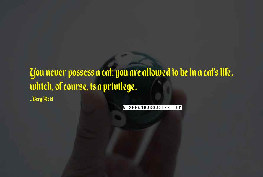 Beryl Reid Quotes: You never possess a cat; you are allowed to be in a cat's life, which, of course, is a privilege.