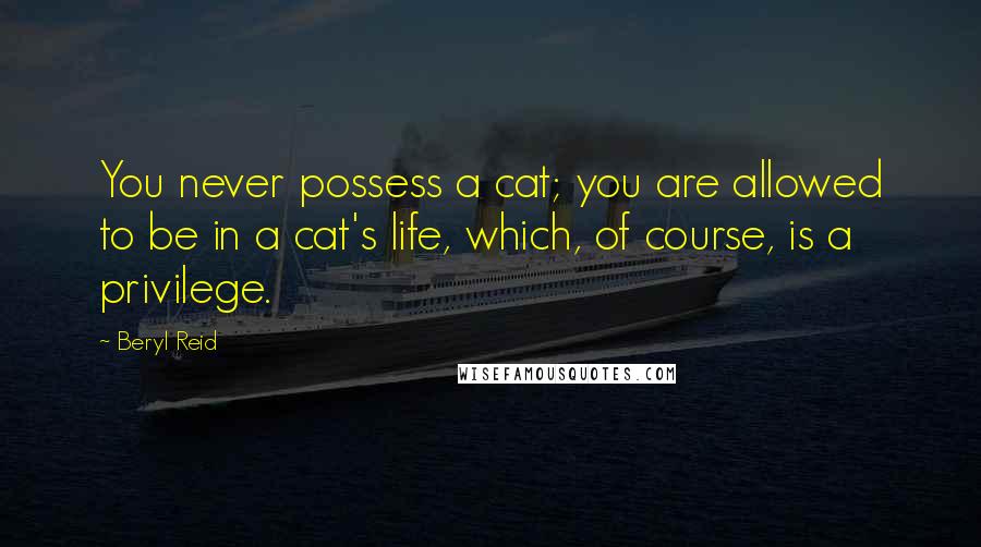 Beryl Reid Quotes: You never possess a cat; you are allowed to be in a cat's life, which, of course, is a privilege.