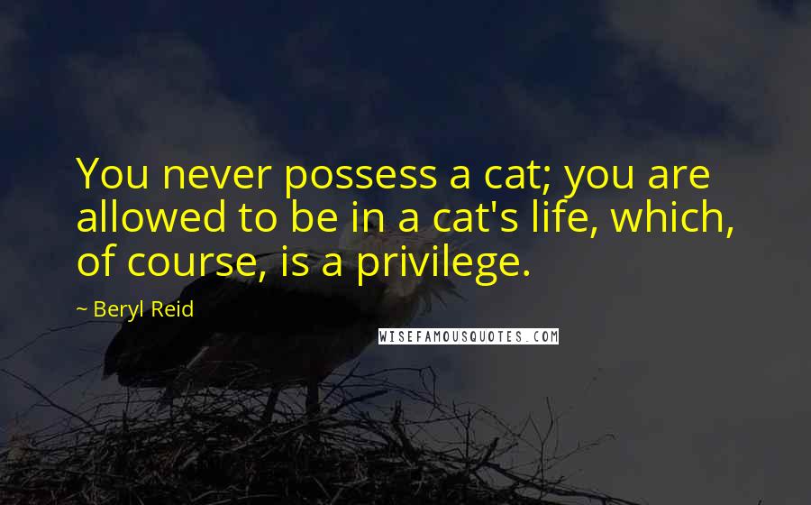 Beryl Reid Quotes: You never possess a cat; you are allowed to be in a cat's life, which, of course, is a privilege.