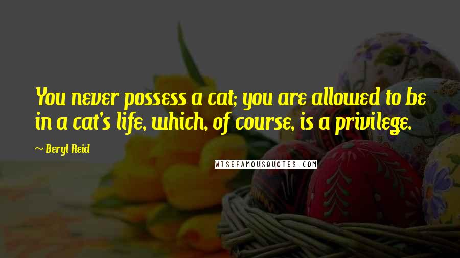 Beryl Reid Quotes: You never possess a cat; you are allowed to be in a cat's life, which, of course, is a privilege.