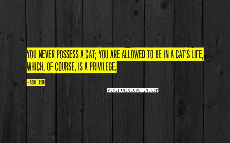 Beryl Reid Quotes: You never possess a cat; you are allowed to be in a cat's life, which, of course, is a privilege.