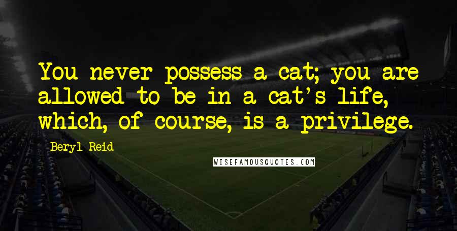 Beryl Reid Quotes: You never possess a cat; you are allowed to be in a cat's life, which, of course, is a privilege.