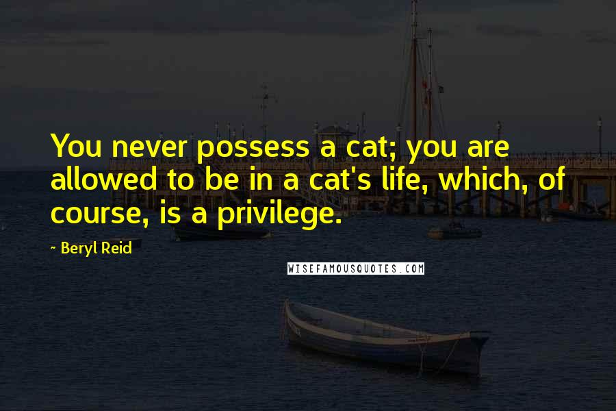 Beryl Reid Quotes: You never possess a cat; you are allowed to be in a cat's life, which, of course, is a privilege.