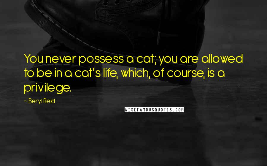 Beryl Reid Quotes: You never possess a cat; you are allowed to be in a cat's life, which, of course, is a privilege.