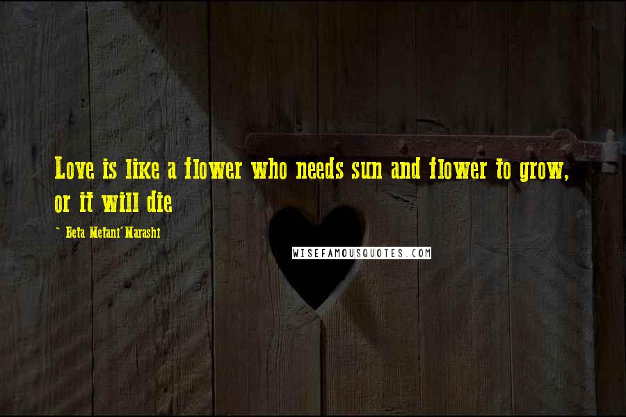 Beta Metani'Marashi Quotes: Love is like a flower who needs sun and flower to grow, or it will die