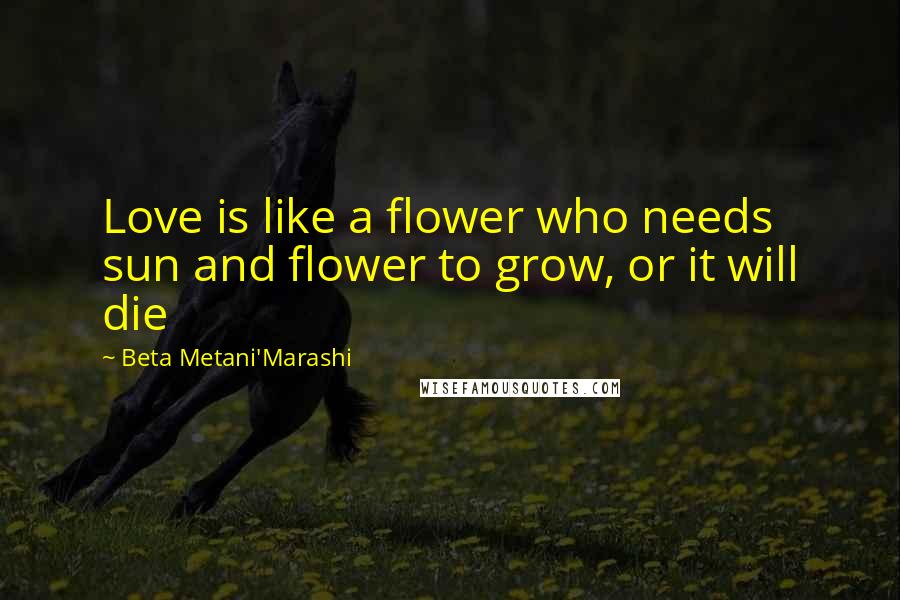 Beta Metani'Marashi Quotes: Love is like a flower who needs sun and flower to grow, or it will die