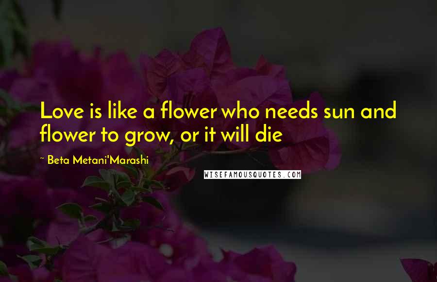 Beta Metani'Marashi Quotes: Love is like a flower who needs sun and flower to grow, or it will die