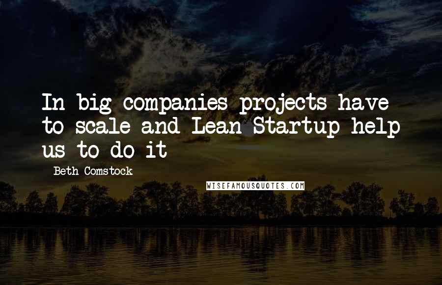 Beth Comstock Quotes: In big companies projects have to scale and Lean Startup help us to do it