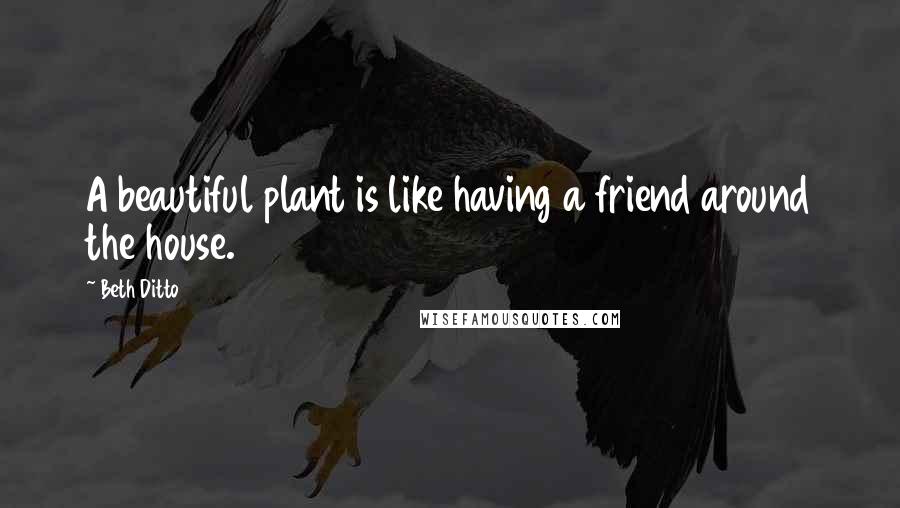 Beth Ditto Quotes: A beautiful plant is like having a friend around the house.