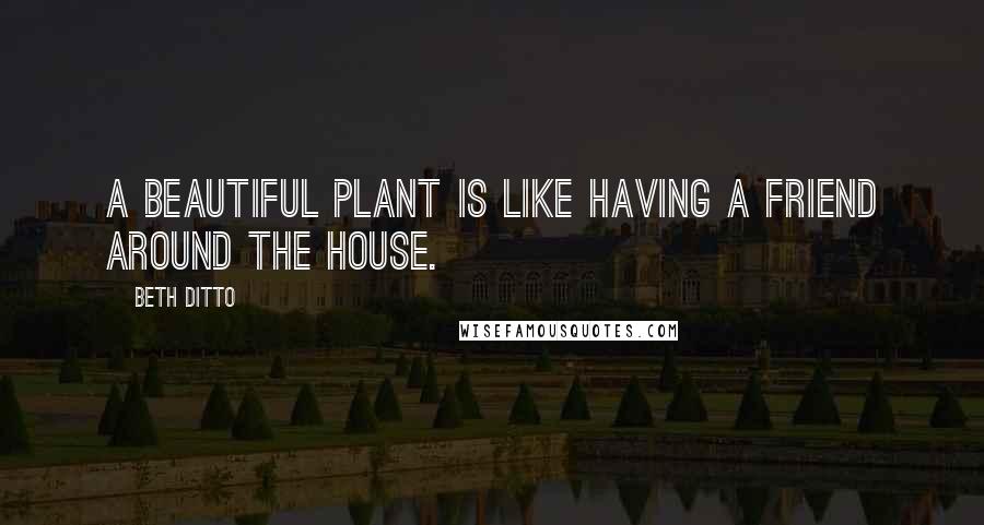 Beth Ditto Quotes: A beautiful plant is like having a friend around the house.