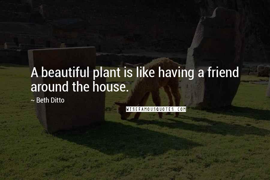 Beth Ditto Quotes: A beautiful plant is like having a friend around the house.