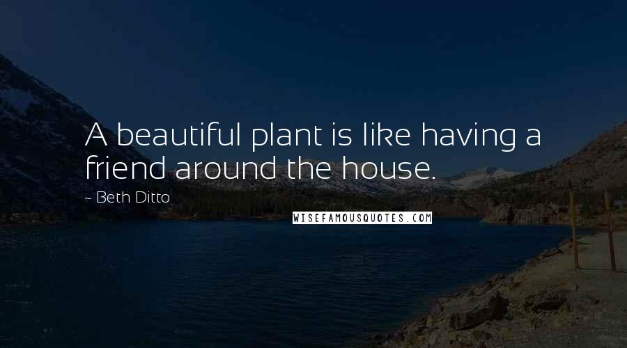 Beth Ditto Quotes: A beautiful plant is like having a friend around the house.