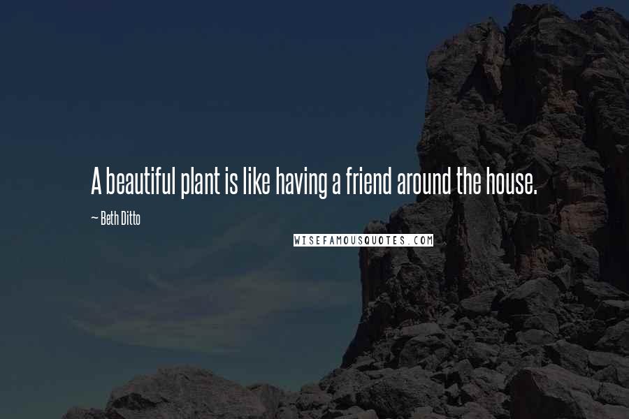 Beth Ditto Quotes: A beautiful plant is like having a friend around the house.