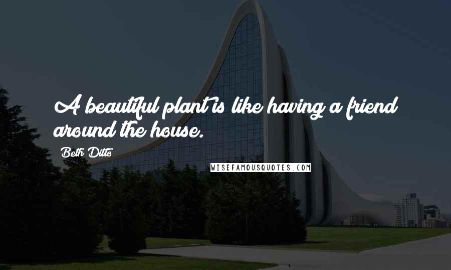 Beth Ditto Quotes: A beautiful plant is like having a friend around the house.