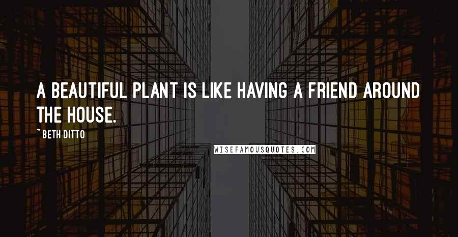 Beth Ditto Quotes: A beautiful plant is like having a friend around the house.