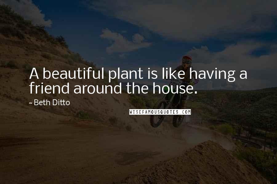 Beth Ditto Quotes: A beautiful plant is like having a friend around the house.