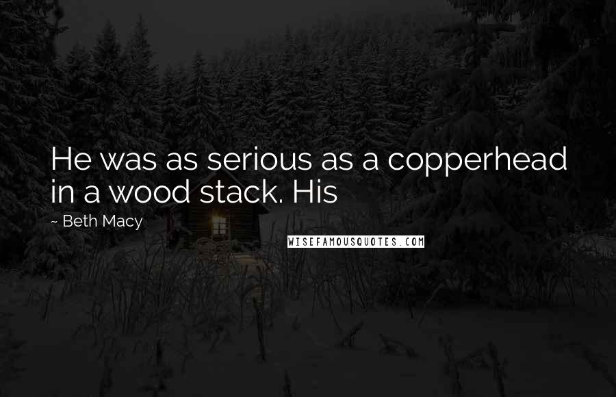 Beth Macy Quotes: He was as serious as a copperhead in a wood stack. His