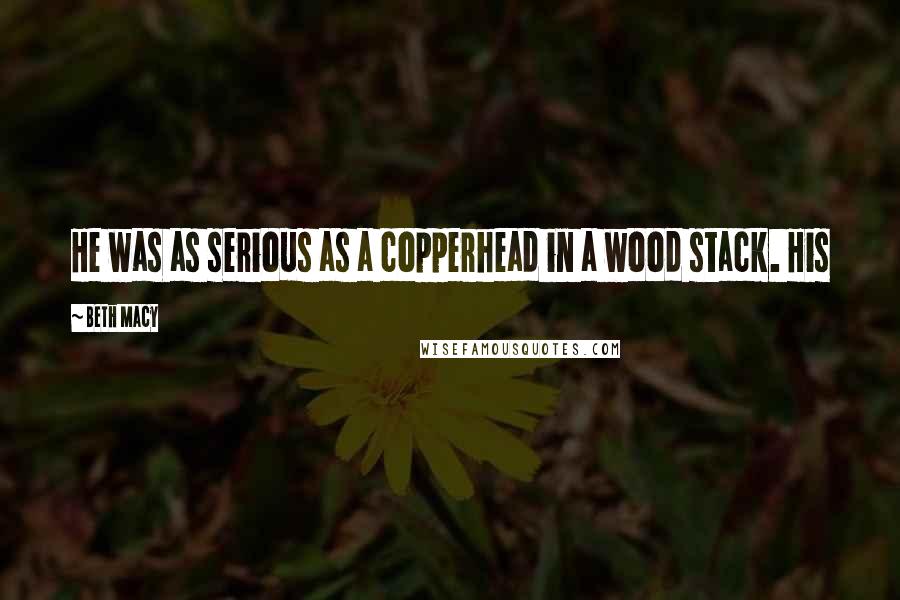 Beth Macy Quotes: He was as serious as a copperhead in a wood stack. His