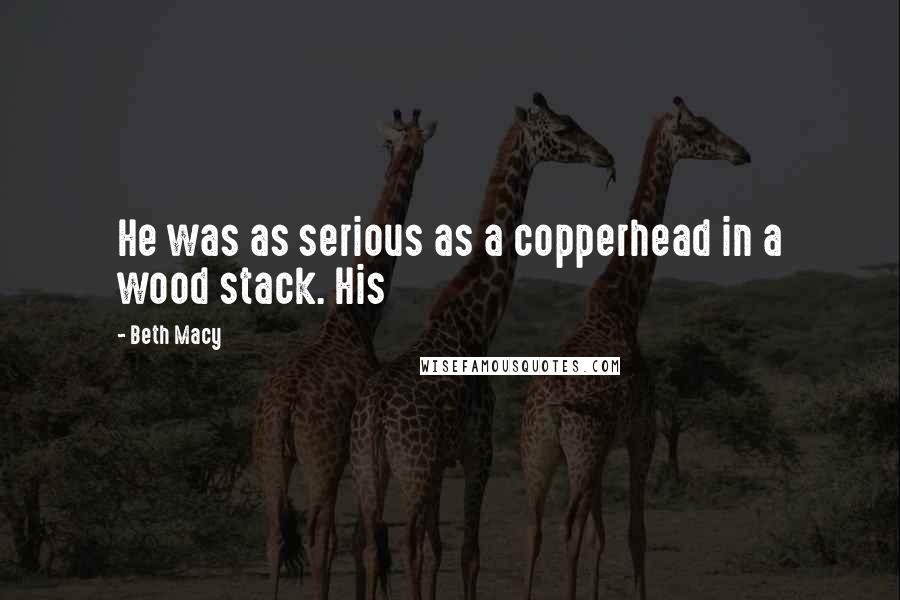 Beth Macy Quotes: He was as serious as a copperhead in a wood stack. His