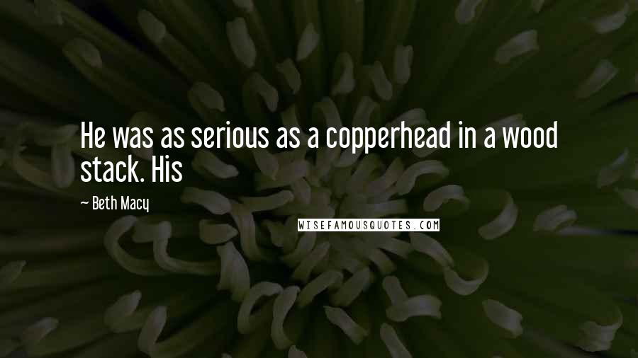 Beth Macy Quotes: He was as serious as a copperhead in a wood stack. His