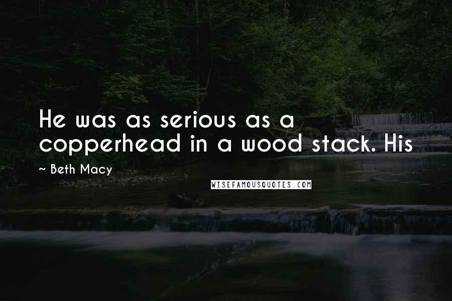 Beth Macy Quotes: He was as serious as a copperhead in a wood stack. His