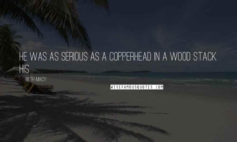 Beth Macy Quotes: He was as serious as a copperhead in a wood stack. His