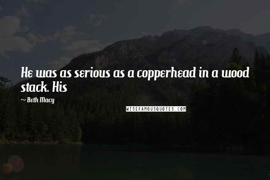 Beth Macy Quotes: He was as serious as a copperhead in a wood stack. His