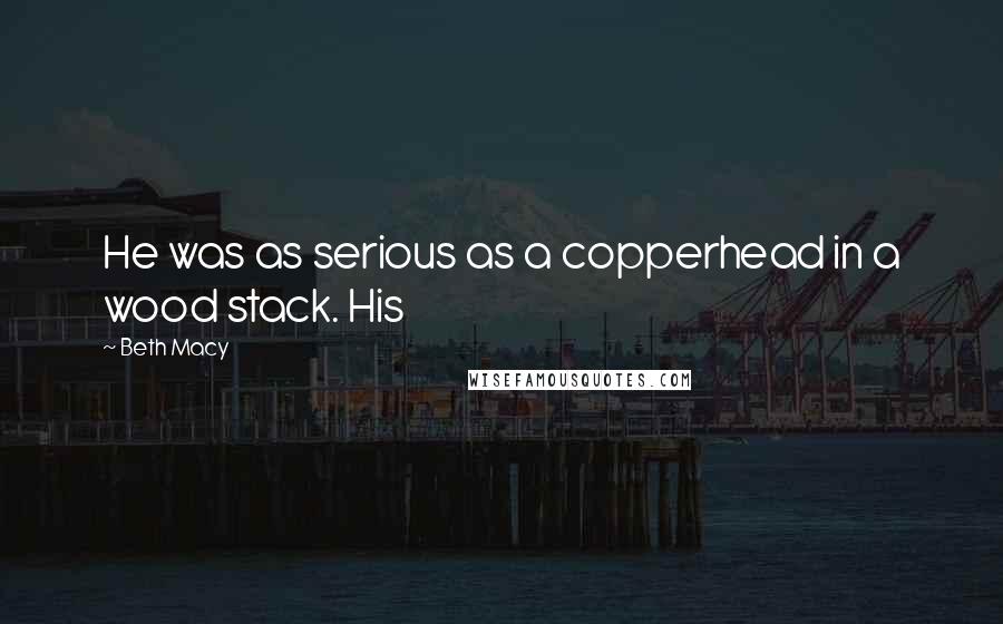 Beth Macy Quotes: He was as serious as a copperhead in a wood stack. His