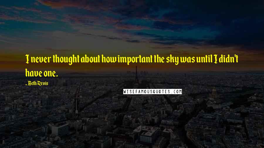 Beth Revis Quotes: I never thought about how important the sky was until I didn't have one.