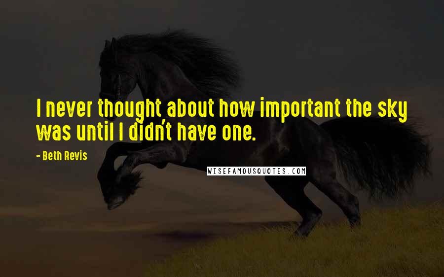 Beth Revis Quotes: I never thought about how important the sky was until I didn't have one.