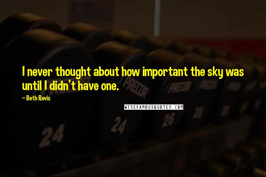 Beth Revis Quotes: I never thought about how important the sky was until I didn't have one.
