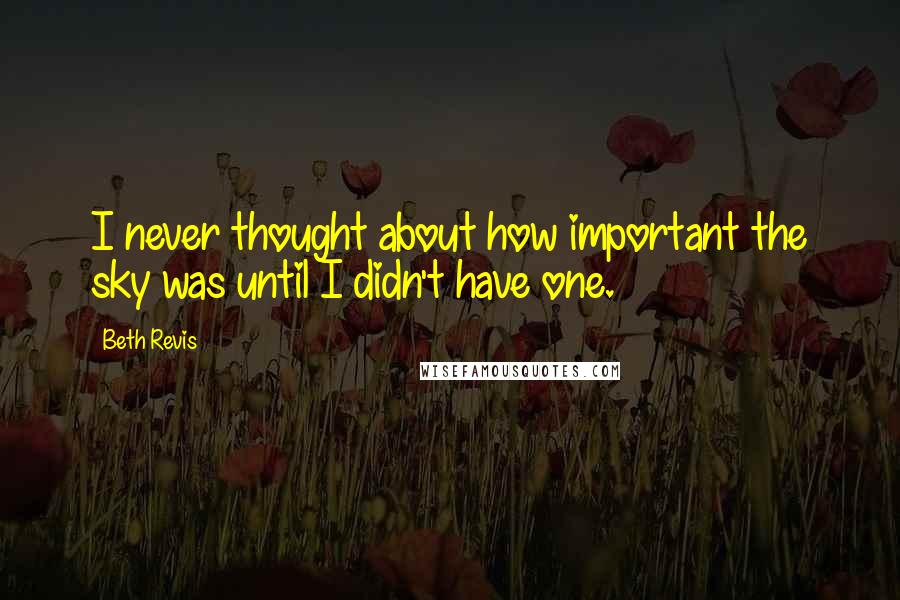 Beth Revis Quotes: I never thought about how important the sky was until I didn't have one.