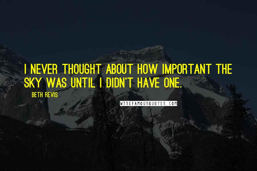 Beth Revis Quotes: I never thought about how important the sky was until I didn't have one.