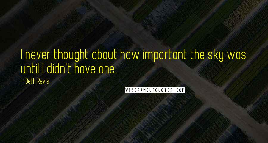 Beth Revis Quotes: I never thought about how important the sky was until I didn't have one.
