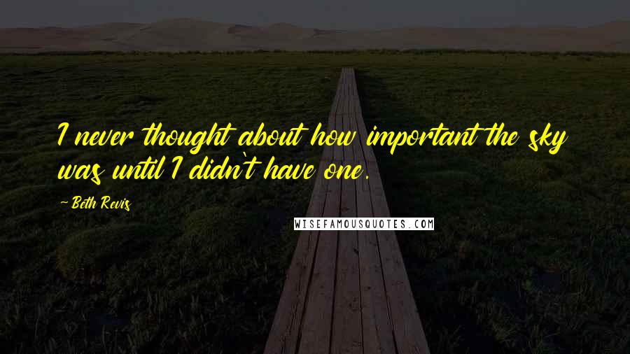 Beth Revis Quotes: I never thought about how important the sky was until I didn't have one.