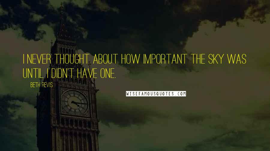 Beth Revis Quotes: I never thought about how important the sky was until I didn't have one.