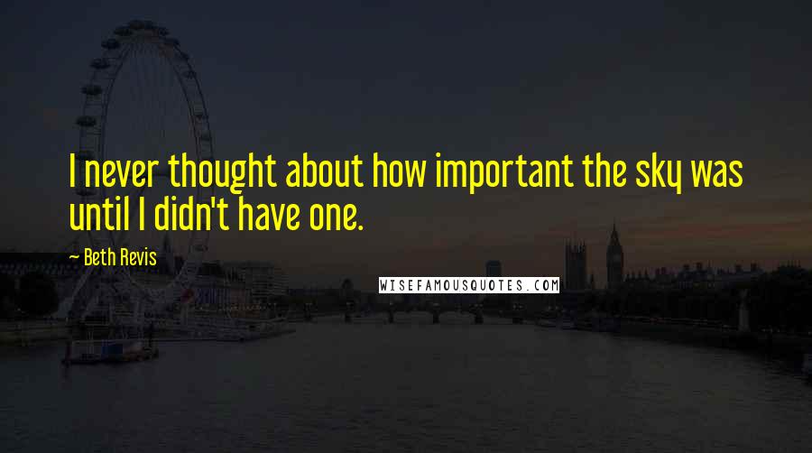 Beth Revis Quotes: I never thought about how important the sky was until I didn't have one.