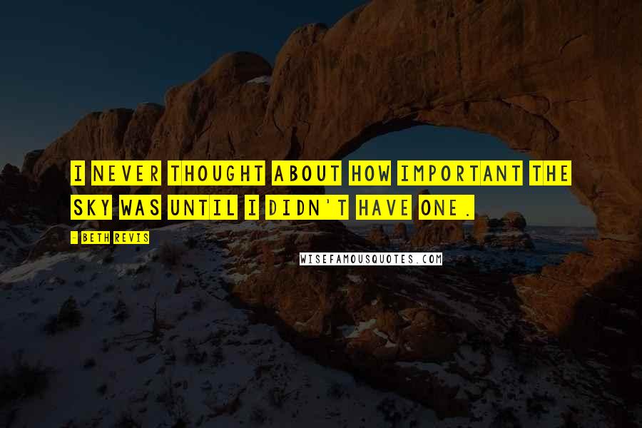 Beth Revis Quotes: I never thought about how important the sky was until I didn't have one.