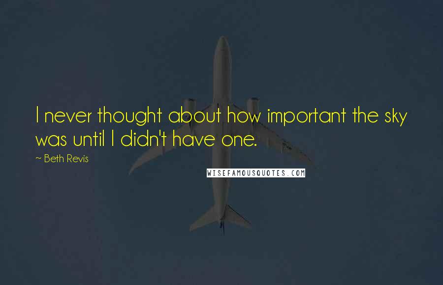 Beth Revis Quotes: I never thought about how important the sky was until I didn't have one.