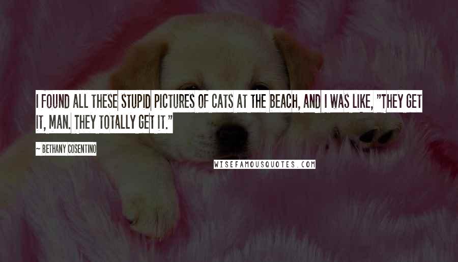 Bethany Cosentino Quotes: I found all these stupid pictures of cats at the beach, and I was like, "They get it, man. They totally get it."