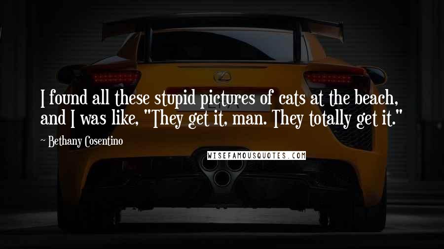 Bethany Cosentino Quotes: I found all these stupid pictures of cats at the beach, and I was like, "They get it, man. They totally get it."