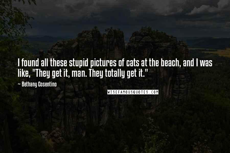 Bethany Cosentino Quotes: I found all these stupid pictures of cats at the beach, and I was like, "They get it, man. They totally get it."